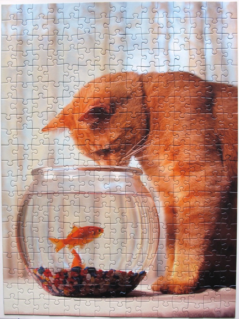 A ginger tabby cat looking down curiously at a small goldfish in a round glass bowl.
