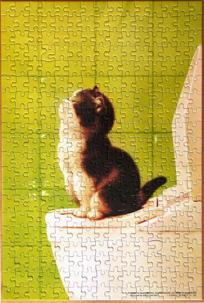 A fluffy black and white kitten sitting on a white toilet against a lime green tiled wall.