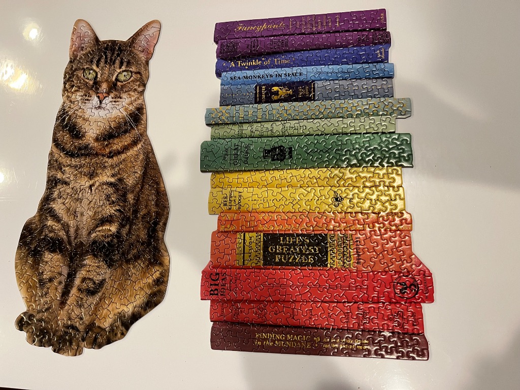 A tabby cat sitting next to a vertical stack of colourful, whimsical book spines.