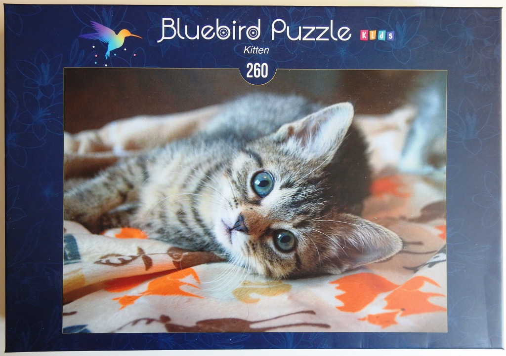 A close-up photograph of a brown tabby kitten resting on a patterned blanket.