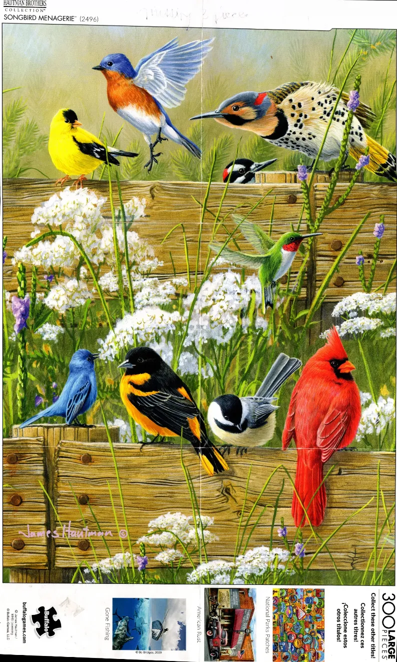 A collection of colorful songbirds perched on or flying near a weathered wooden fence amidst white wildflowers.