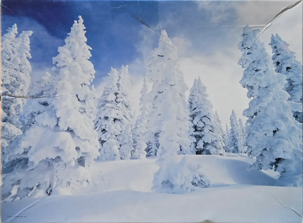 A serene, snowy forest scene with tall, frost-covered evergreen trees under a bright blue and cloudy sky.