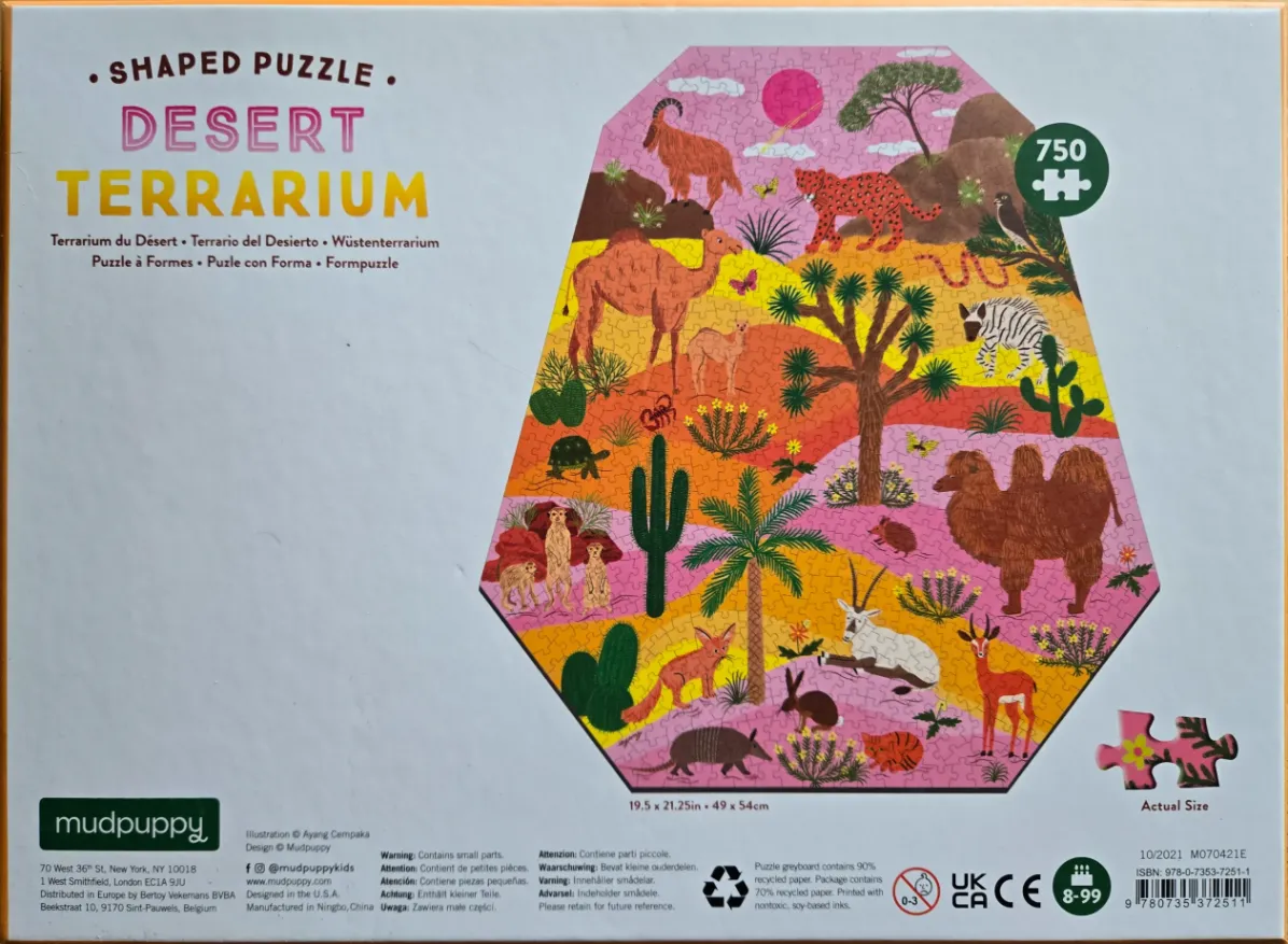 Desert Terrarium