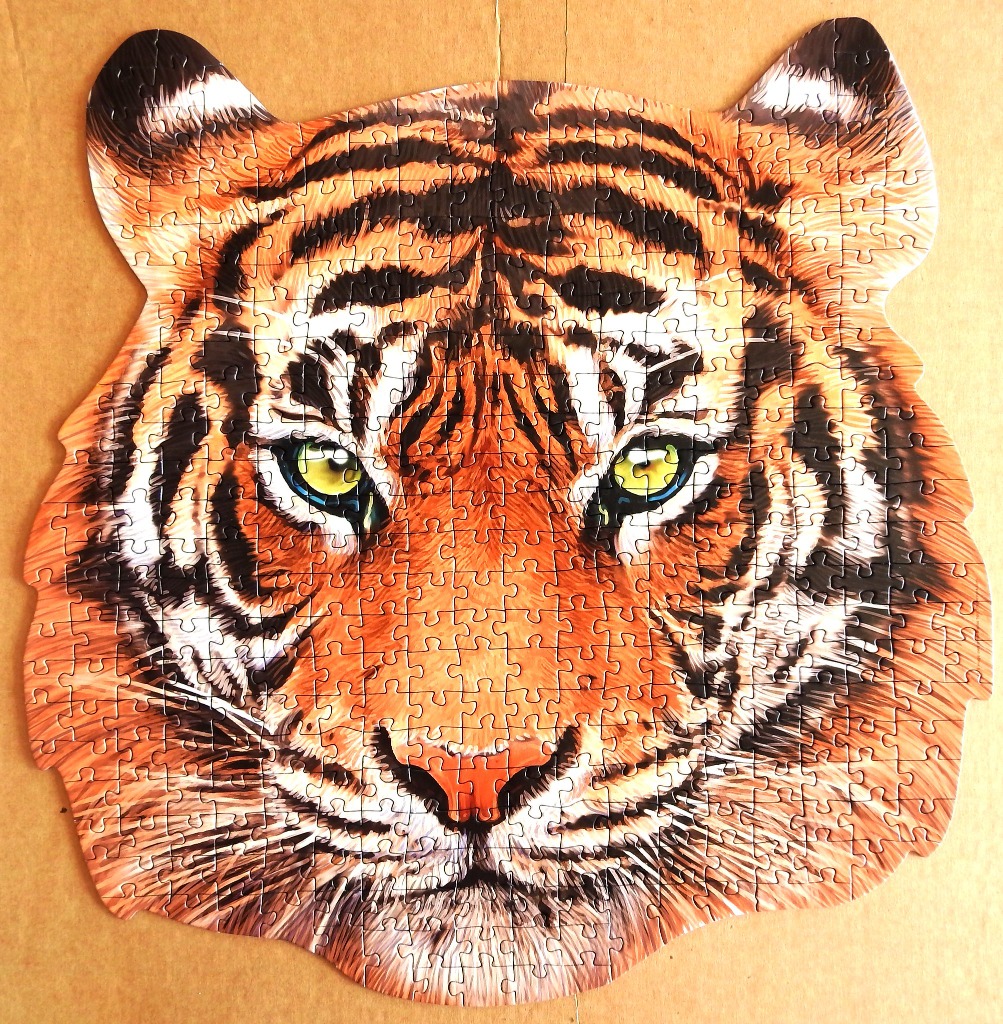 Close-up illustration of a tiger