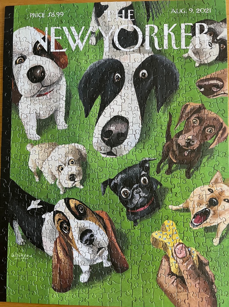 A vibrant illustration of many dogs looking up at the viewer against a bright green grass background.