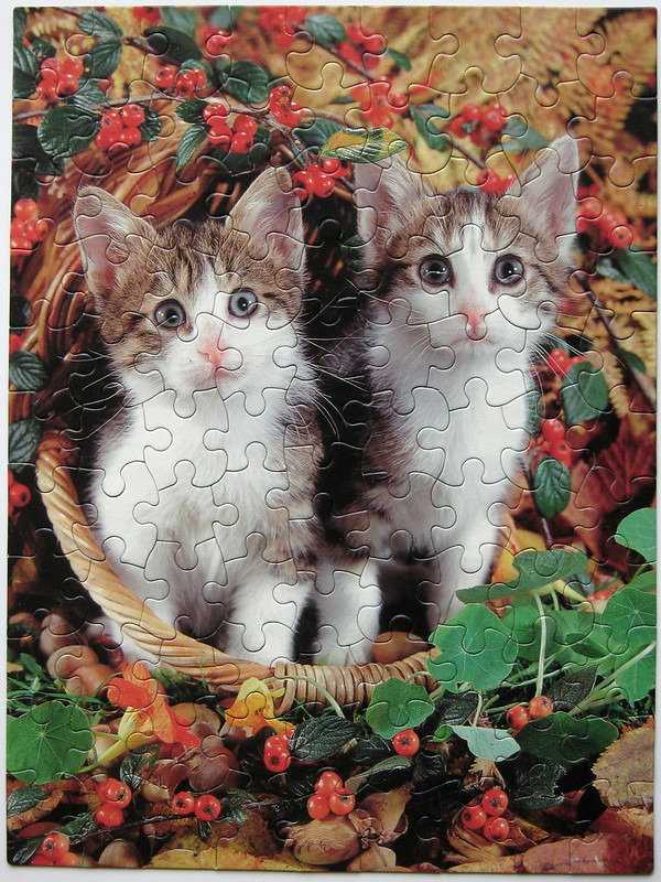 Two fluffy tabby kittens sitting in a wicker basket surrounded by autumn berries and foliage.