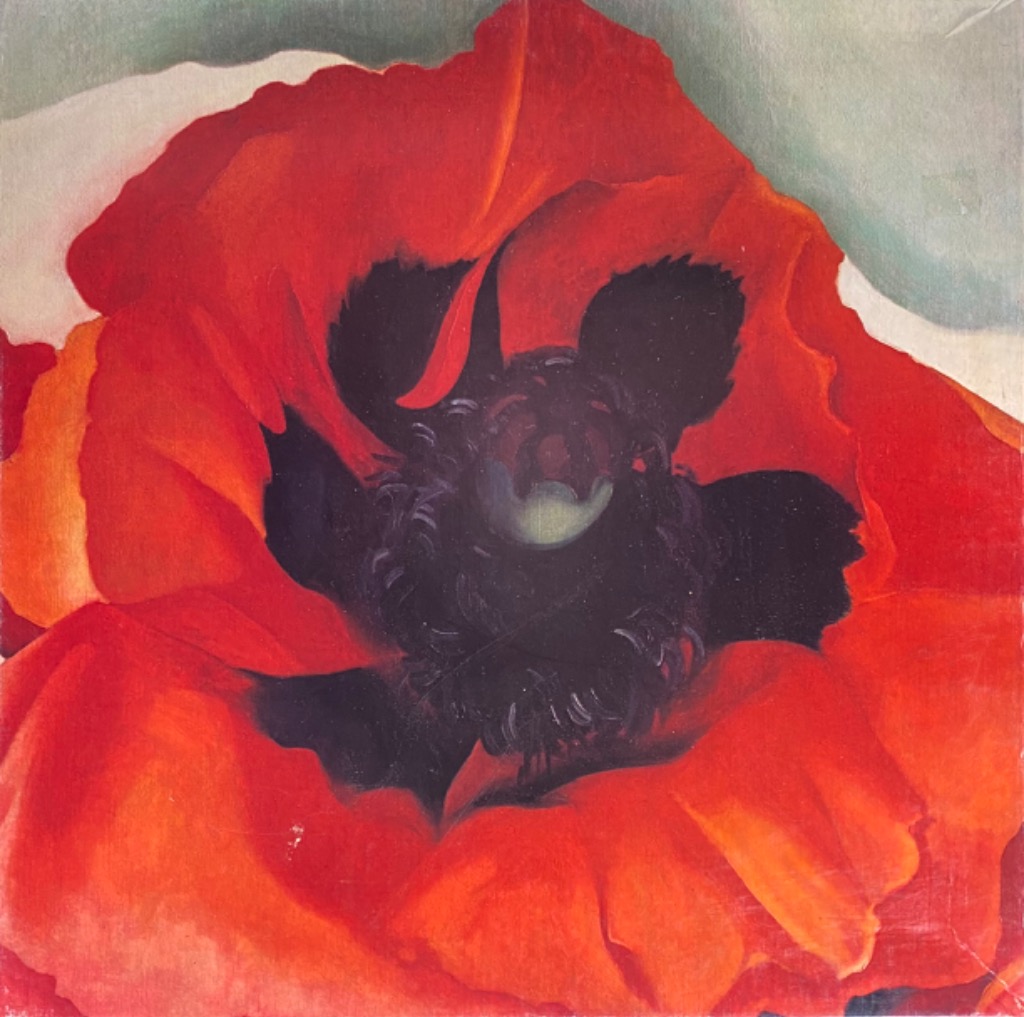 A close-up oil painting of a vibrant red poppy flower with a dark center against a pale background.