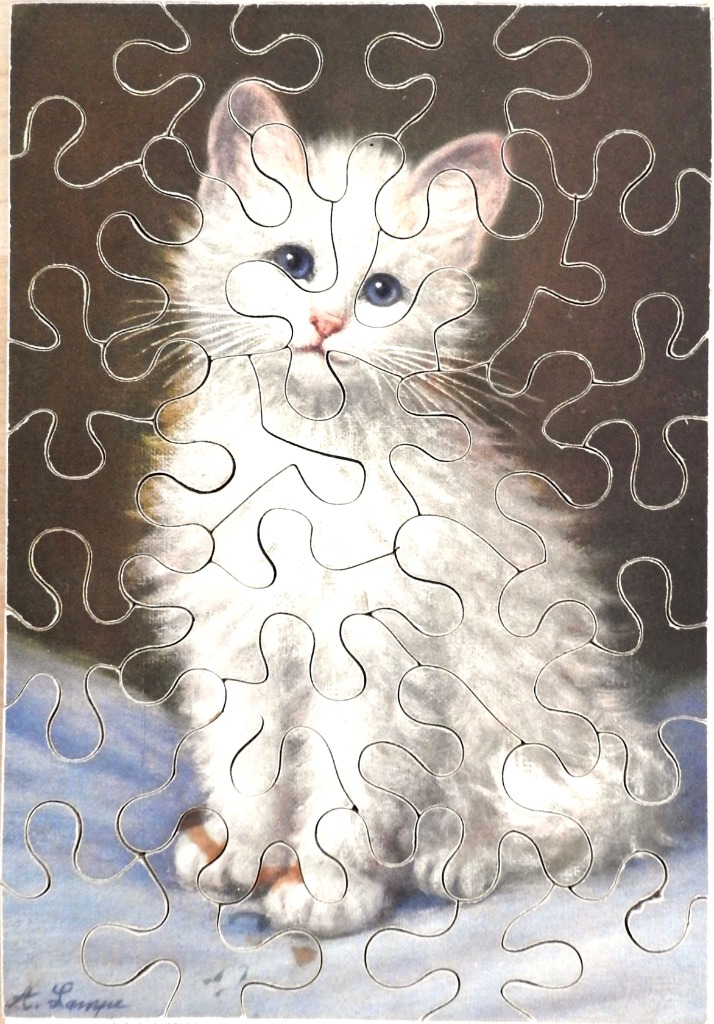 A portrait of a fluffy white kitten with bright blue eyes against a dark background.