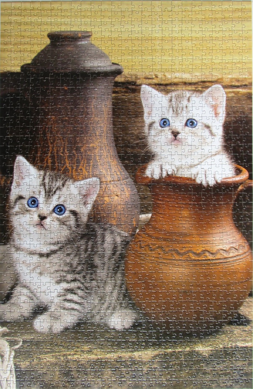 Two tabby kittens with bright blue eyes posing with rustic clay pots.