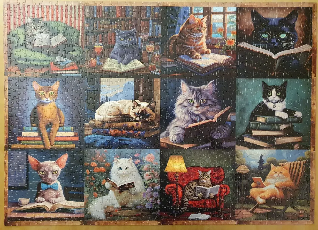 A collage of 12 distinct illustrations of cats reading books in various cozy settings.