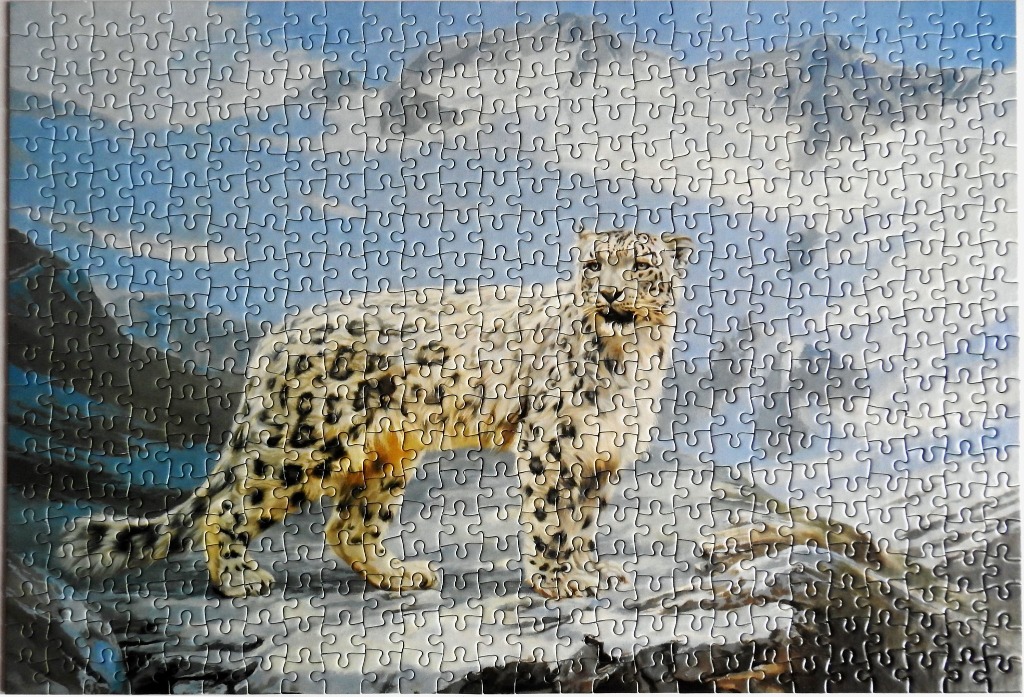A snow leopard standing on a rocky, snow-covered mountain slope against a backdrop of distant, misty peaks.