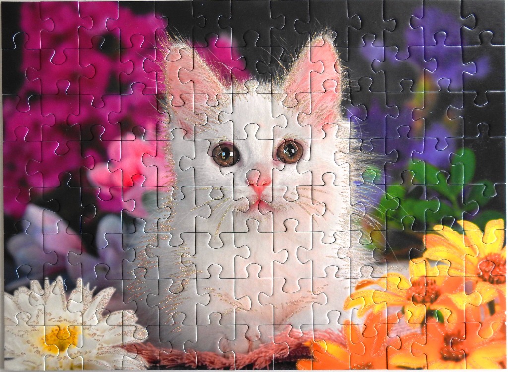 A fluffy white cat sitting among vibrant, colorful flowers.