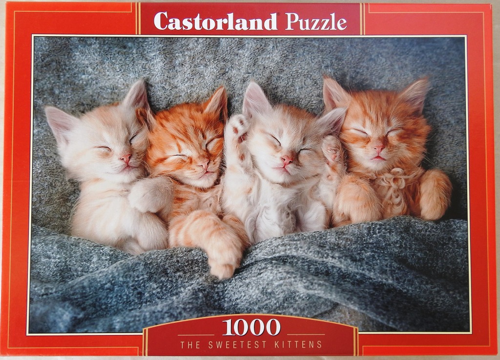 Four orange tabby kittens sleeping in a row on a grey blanket