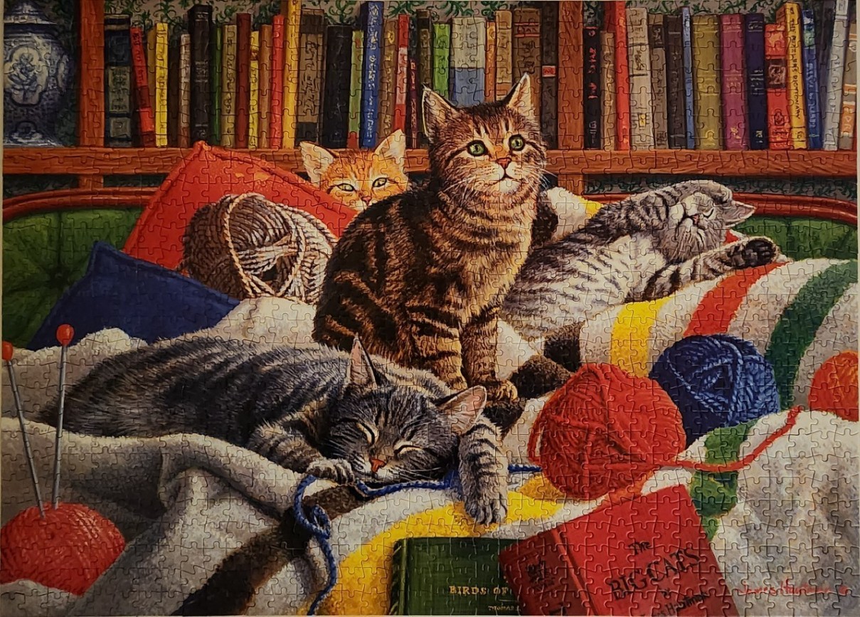 Illustration of several cats resting on a bed covered in yarn and books in front of a full bookshelf.