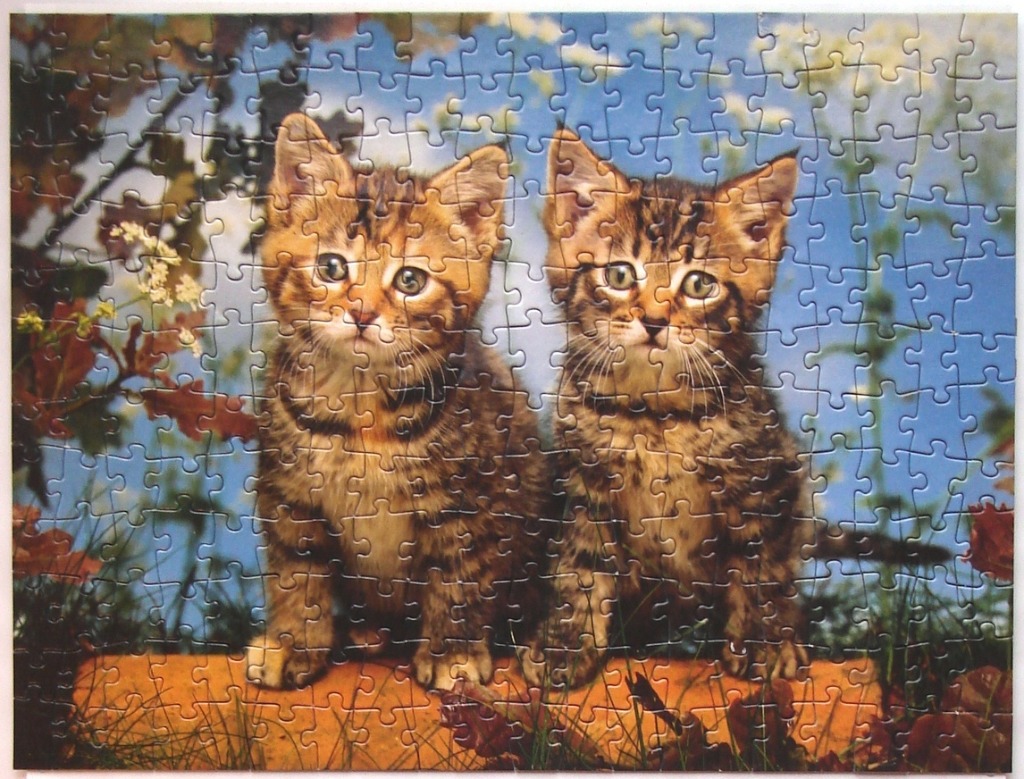 Two fluffy tabby kittens sitting side-by-side outdoors against a blue sky background.