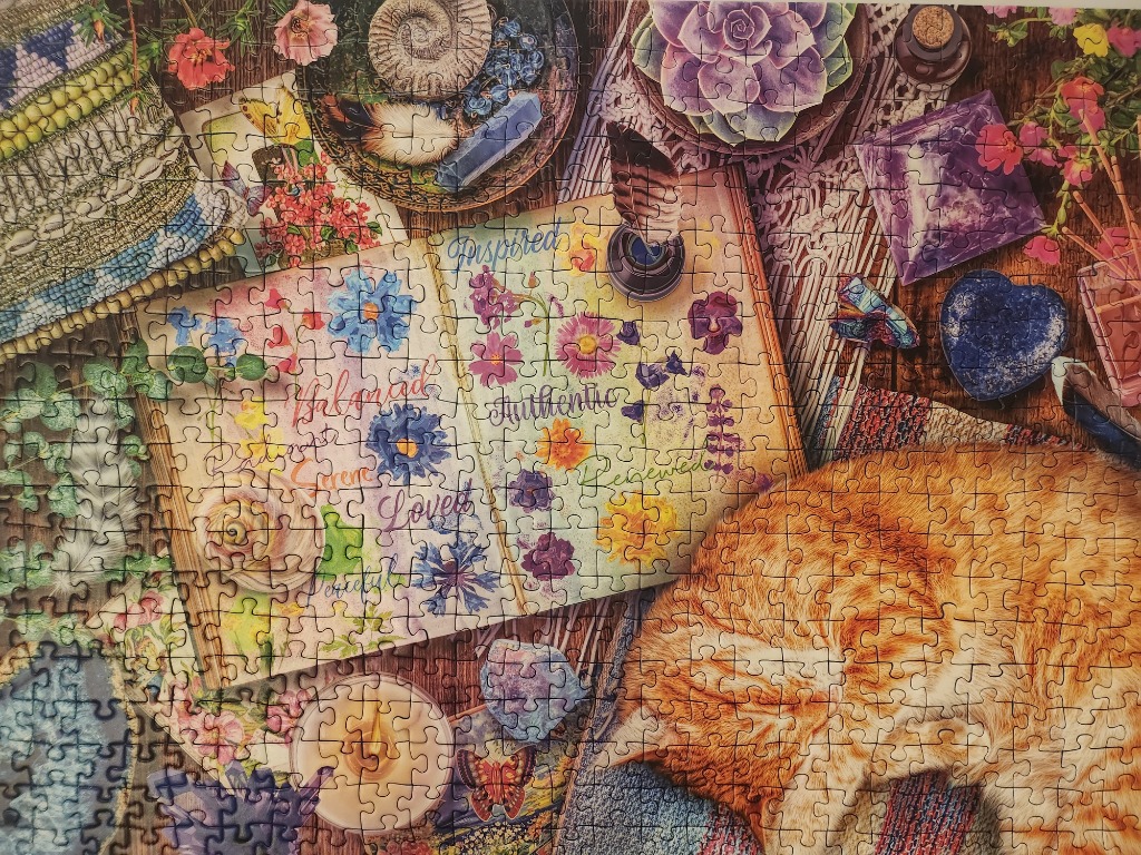 An open journal surrounded by crystals, plants, and a sleeping orange cat on a wooden surface.