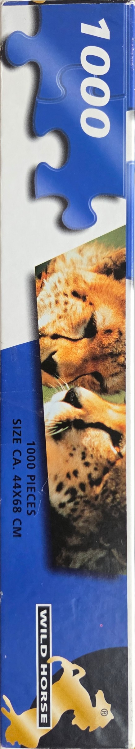 Leopards
