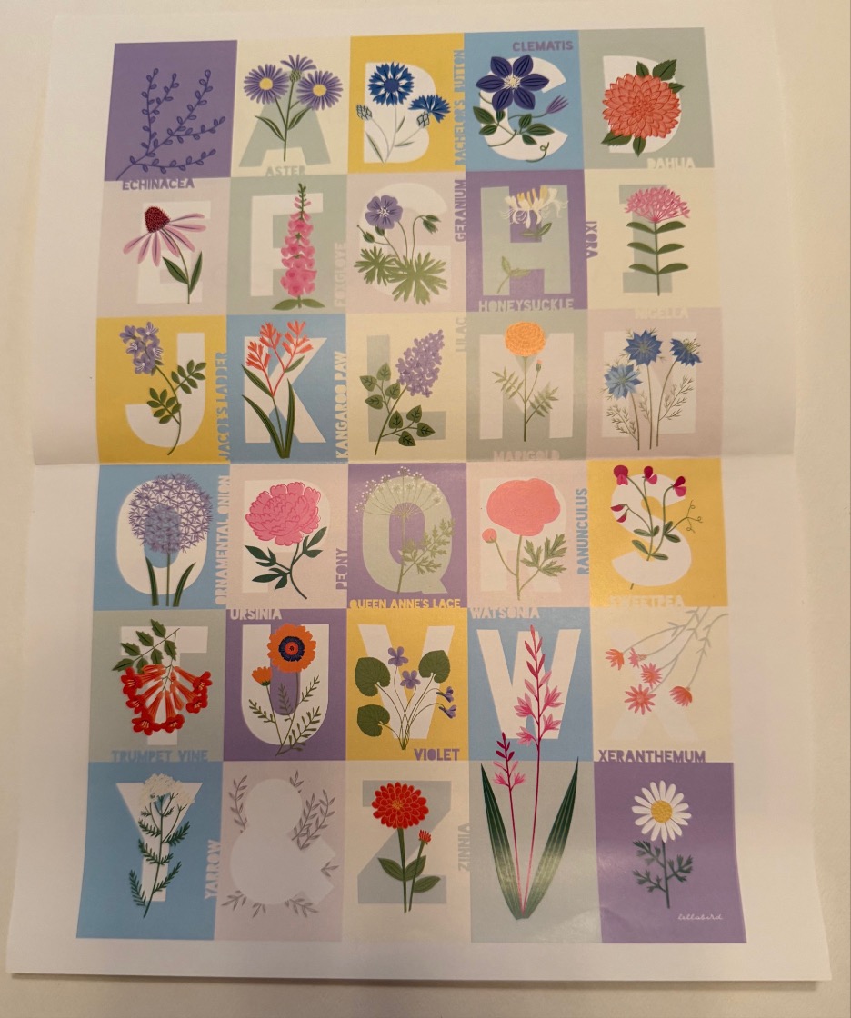 An alphabet grid featuring a different flower illustration corresponding to each letter from A to Z.