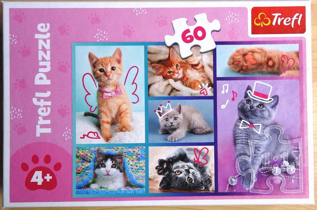 Collage of six photos of cute kittens decorated with whimsical line art graphics.