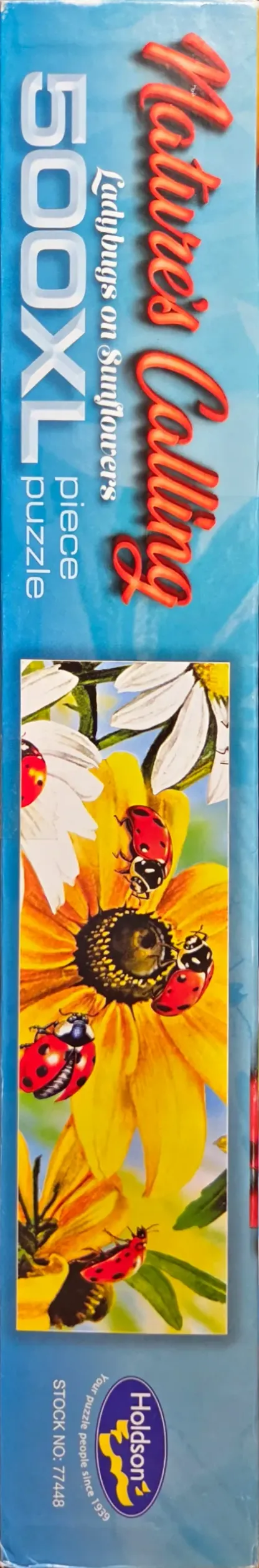 Ladybugs on Sunflowers
