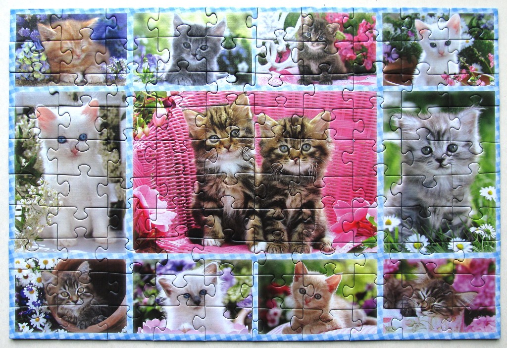 A collage of various adorable kittens in garden and floral settings.