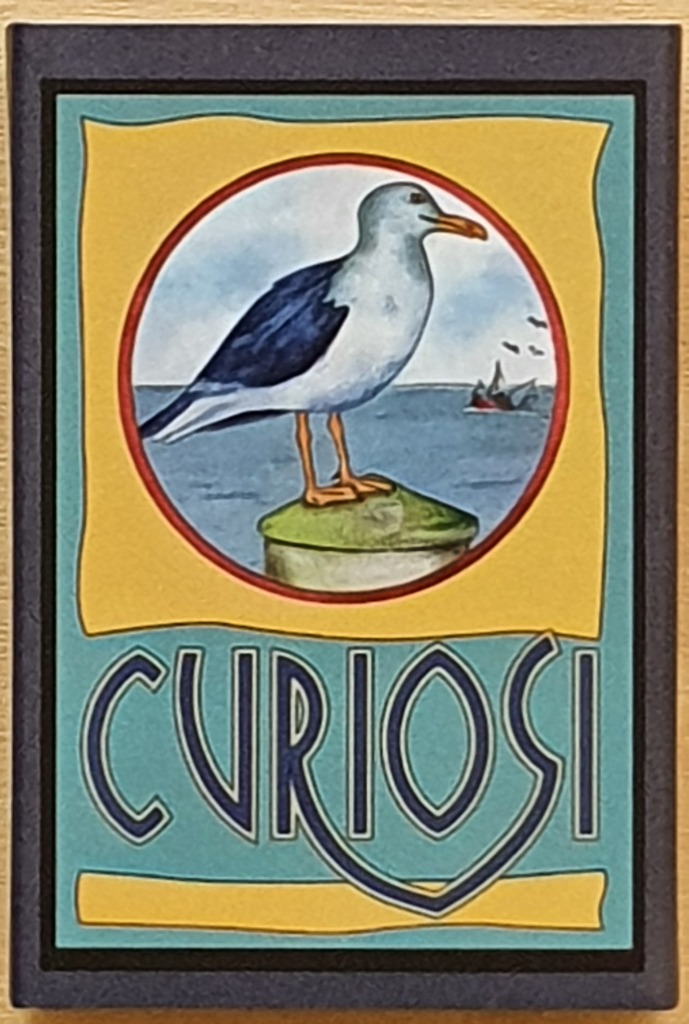 Stylized illustration of a seagull perched on a post in a circular frame above the text CURIOSI