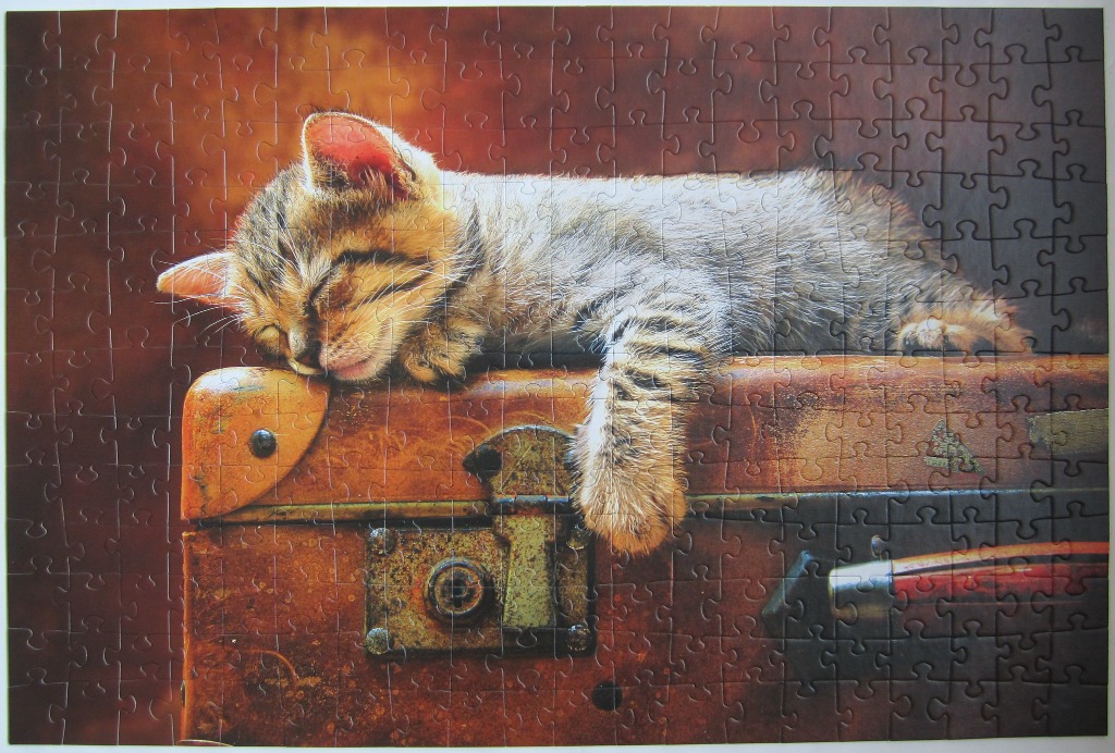 A small tabby kitten sleeping peacefully on a vintage leather suitcase against a warm, dark background.