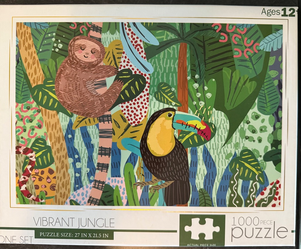 A whimsical illustration of a sloth and a toucan in a colorful, stylized jungle setting.