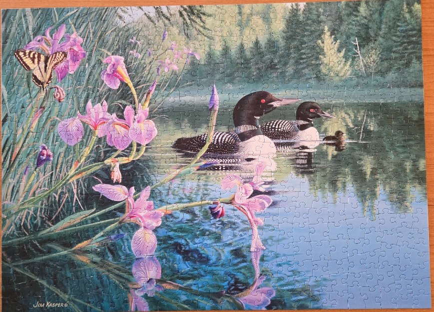 A loon family swimming on a calm lake with purple iris flowers and a butterfly in the foreground.