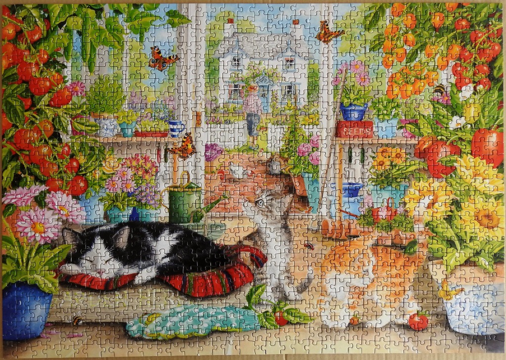 Cats resting in a sunny garden shed with tomatoes and flowers