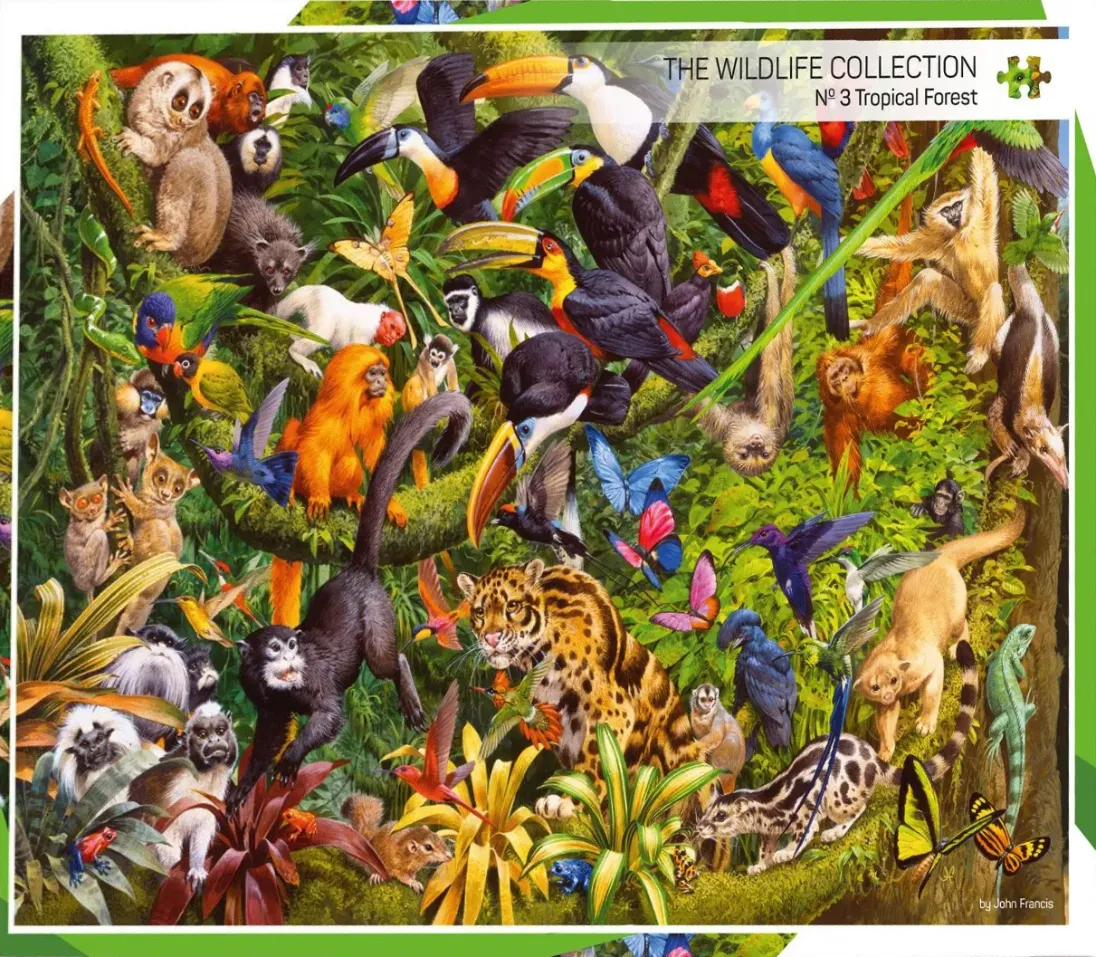 A dense tropical forest scene filled with diverse wildlife including monkeys, toucans, a leopard, and butterflies.