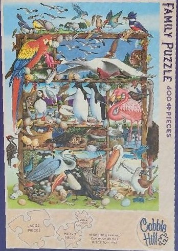 A whimsical illustration of dozens of diverse bird species perched on a large wooden grid frame