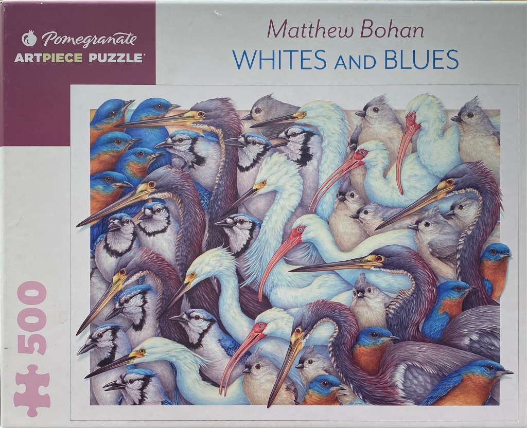 A dense illustration of various North American birds featuring shades of blue, white, and soft grey plumage.