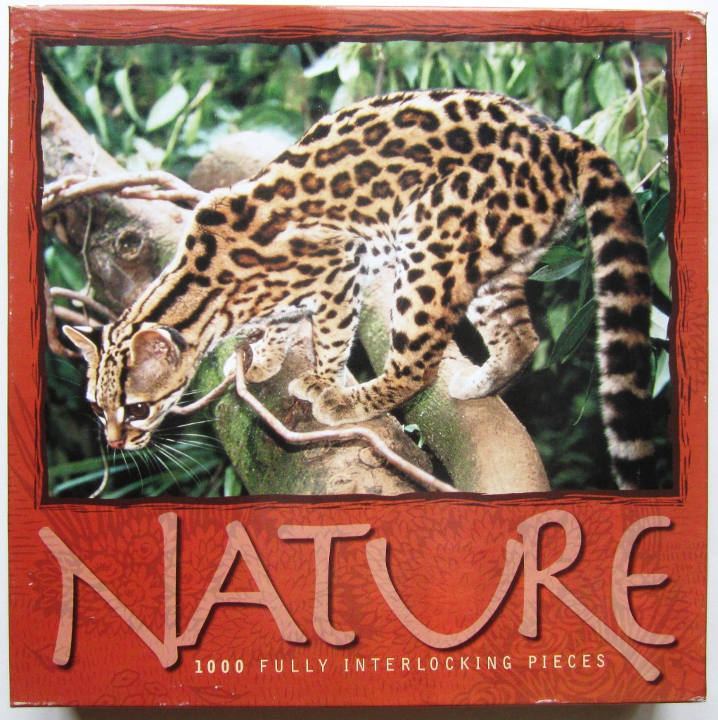 A photographic portrait of an ocelot perched on a tree branch in a lush, green forest environment.
