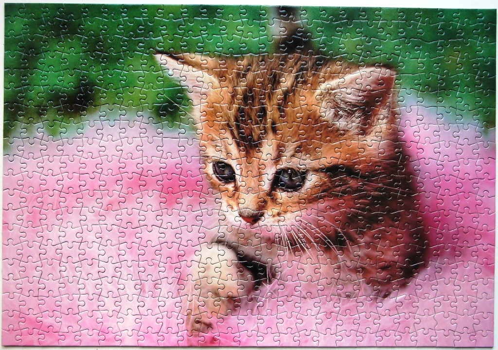 A close-up portrait of a brown tabby kitten resting in a soft pink blanket against a green garden background.