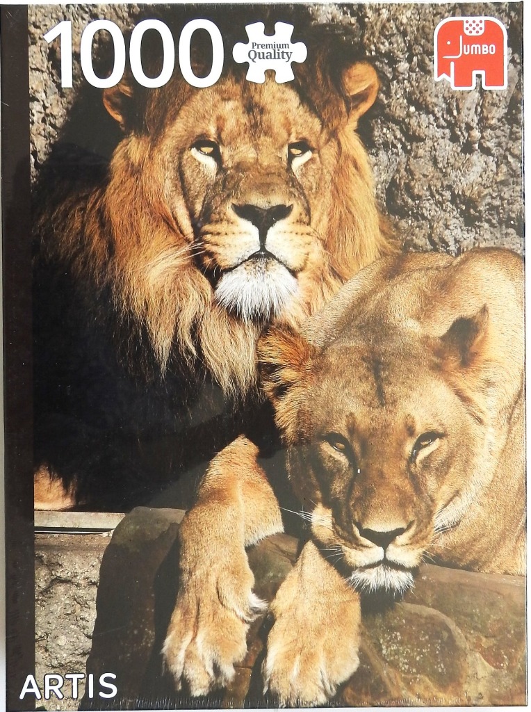 A male and female lion resting together against a stone background.