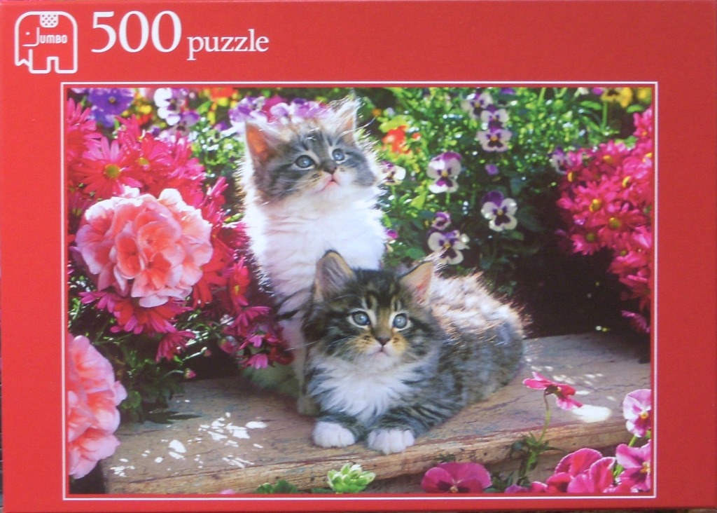 Two fluffy long-haired kittens sitting amongst vibrant flowers in a garden setting.
