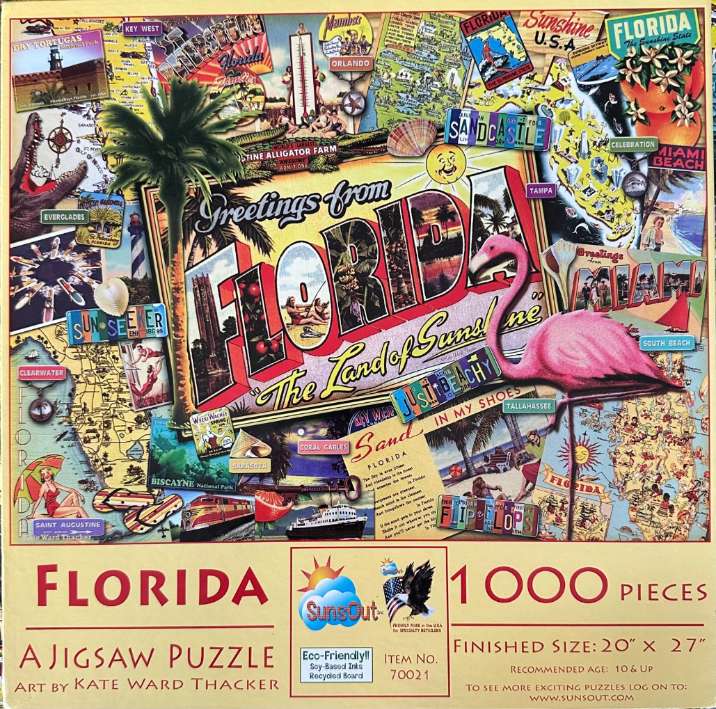 A vintage-style Florida travel collage featuring a central 'Greetings from Florida' sign, a flamingo, and maps.