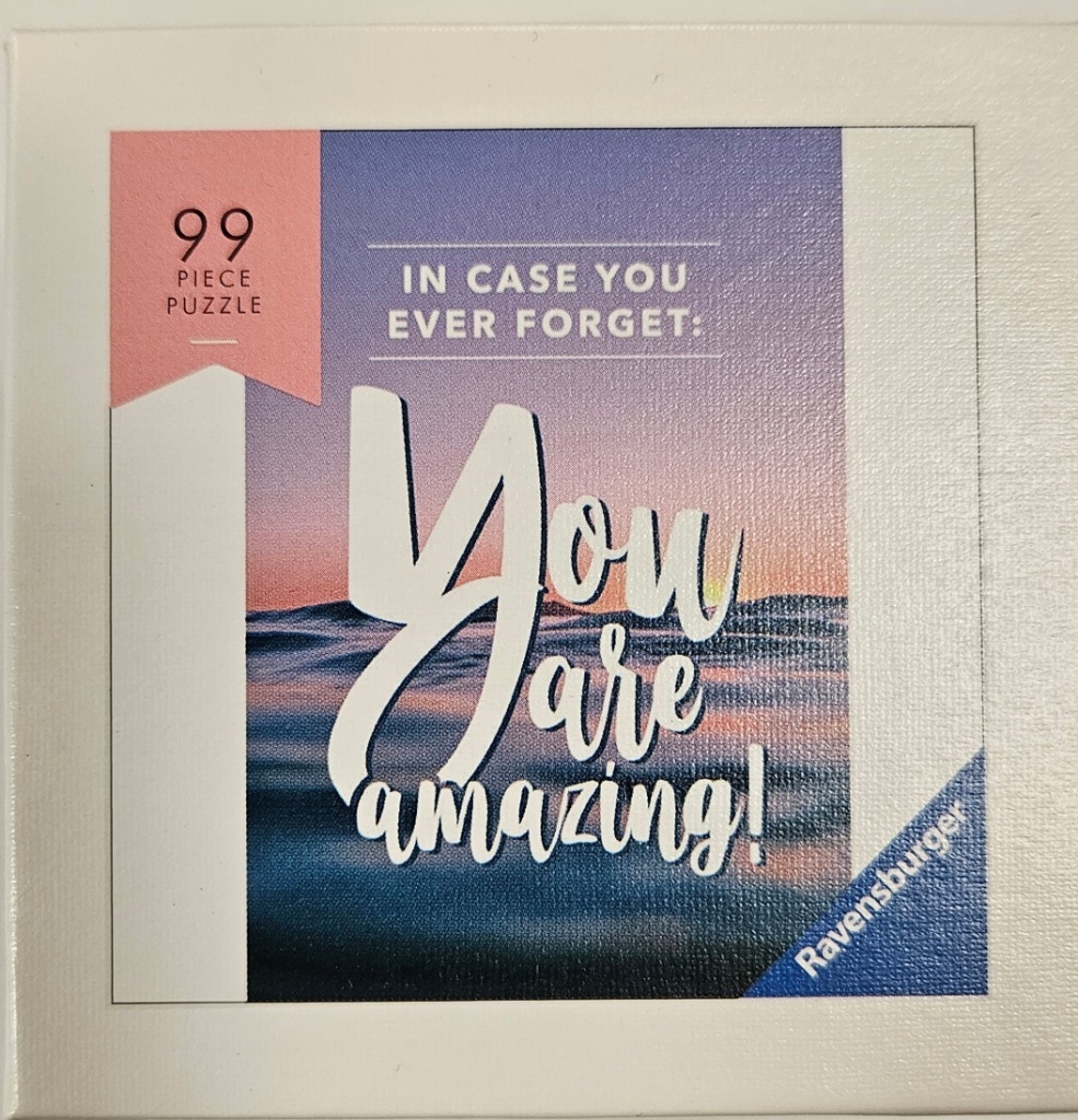 Graphic artwork with a sunset over the ocean and the inspirational text: In case you ever forget: You are amazing!