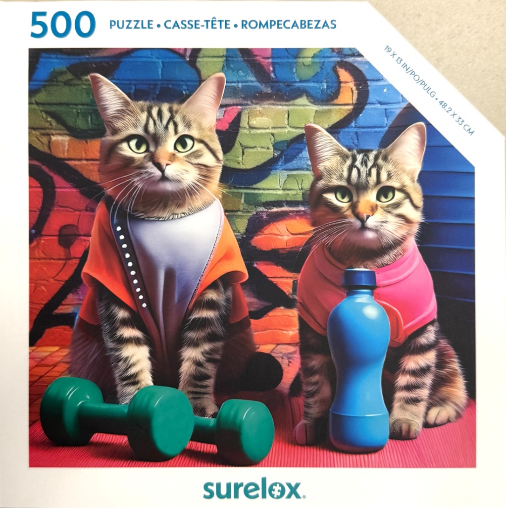 Two tabby cats wearing athletic vests sit in front of a graffiti brick wall with exercise equipment.