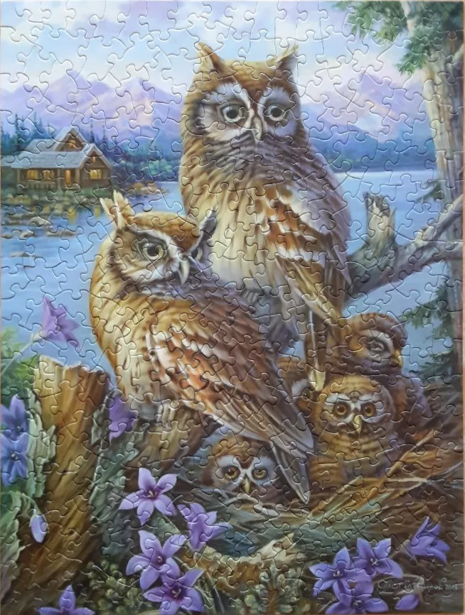 A family of four owls in a woodland setting with a lakeside cabin in the background.
