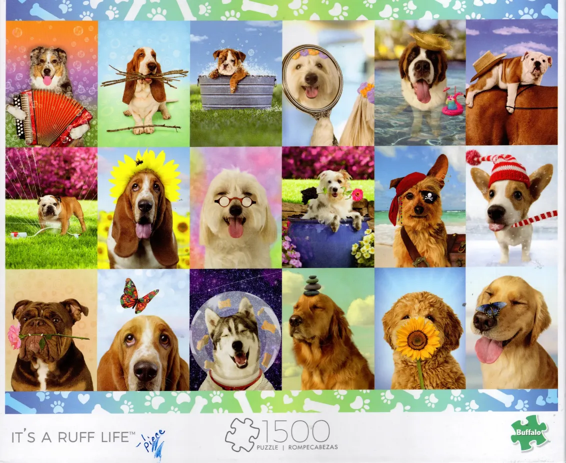 A collage of fifteen whimsical studio portraits of various dog breeds in fun costumes and poses.