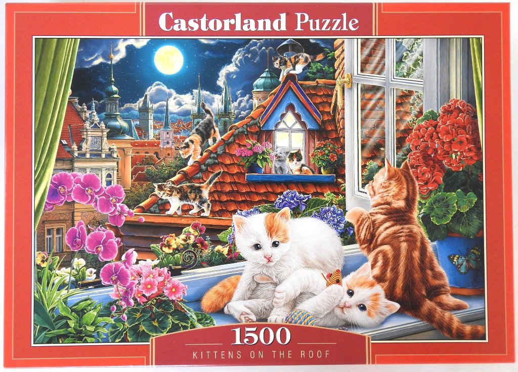 Kittens playing on a tiled rooftop overlooking a moonlit European city at night