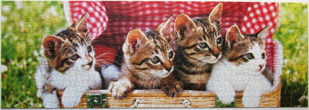 Four tabby kittens peeking out of a woven wicker basket against a red-and-white gingham background.