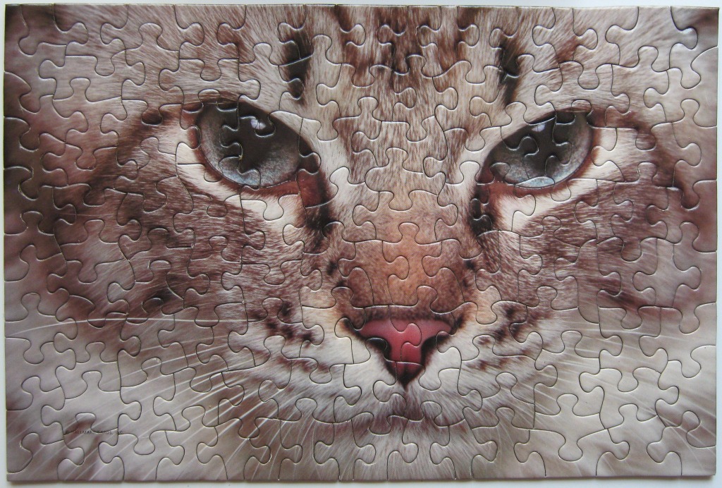 Extreme close-up of a brown tabby cat's face, focusing on its intense eyes and pink nose.