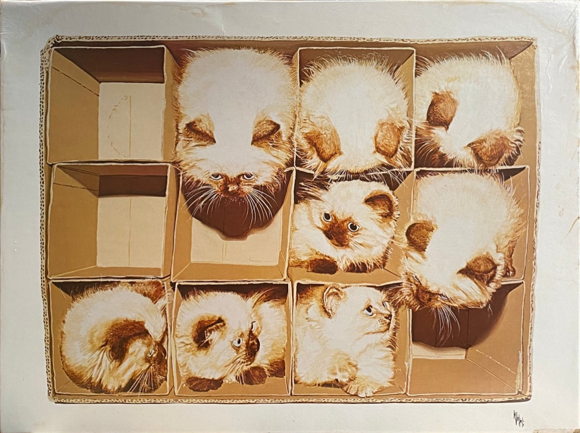 Painting of seven fluffy Siamese-style kittens occupying individual compartments in a cardboard box divider.