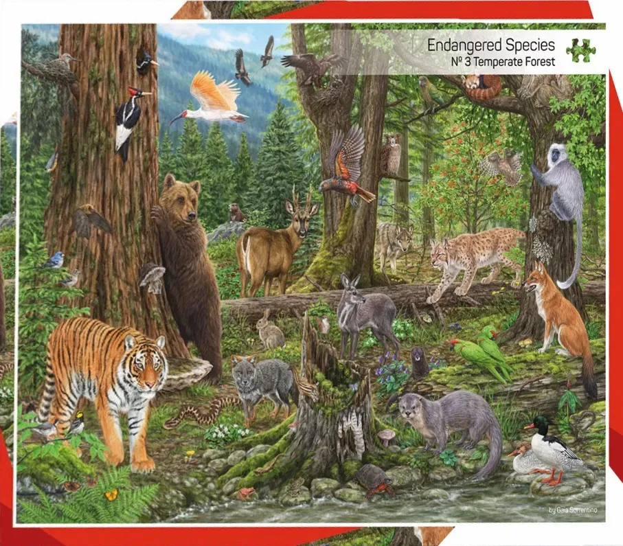 A detailed illustration of diverse wildlife in a temperate forest habitat.