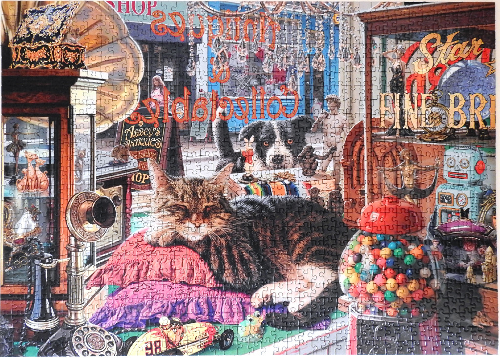 An antique shop filled with vintage treasures, a tabby cat, and a border collie.