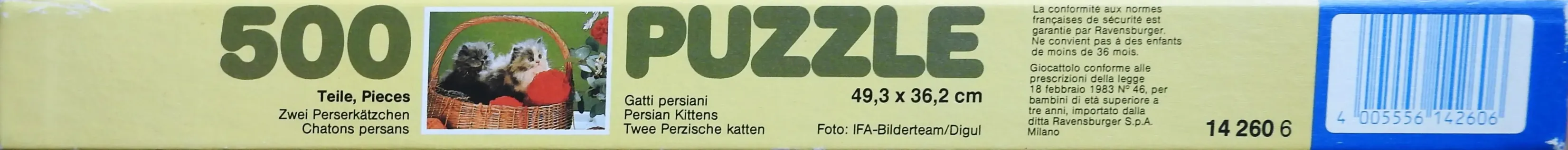 Zwei Perserkätzchen
