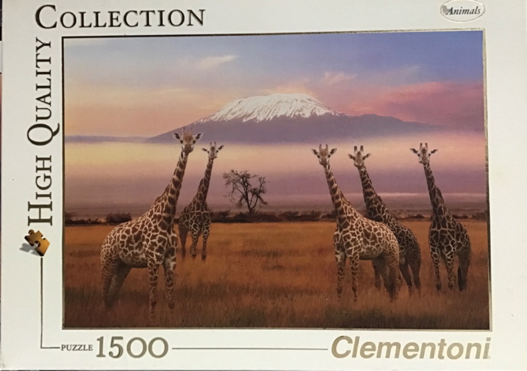 Five giraffes standing in an African savanna with Mount Kilimanjaro in the background at sunrise.